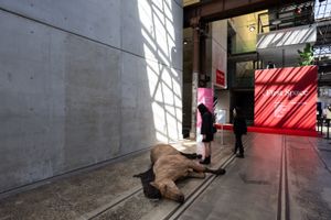 [Abdul-Rahman Abdullah][0], _Dead Horse_ (2022). Carved and stained wood. 60 x 216 x 290 cm. Sydney Contemporary, Carriageworks (7–10 September 2023). Courtesy the artist and Moore Contemporary. Photos: Wes Nel.


[0]: https://ocula.com/artists/abdul-rahman-abdullah/